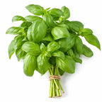Basil