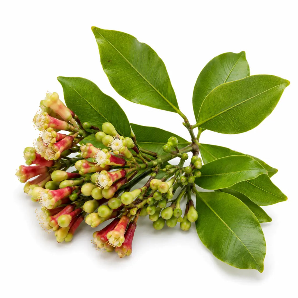 Natural Ways to Boost Immunity and Warming Circulation