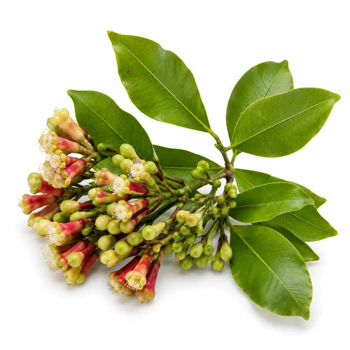 Natural Ways to Boost Immunity and Warming Circulation