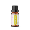 Organic juniper berry essential oil bottle next to fresh blue juniper berries, representing a natural mind and body detox.