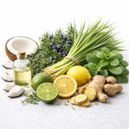 solar plexus oil blend for empowerment, focus and self belief scentsess