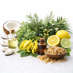 throat chakra oil blend for clarity, expression and inner balance scentsess