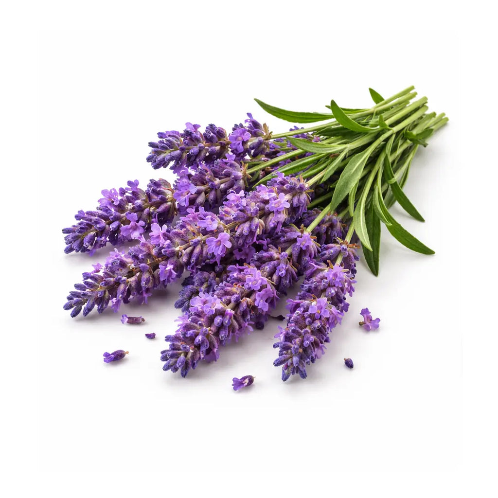 organic lavender essential oil bottle for sleep and relaxation