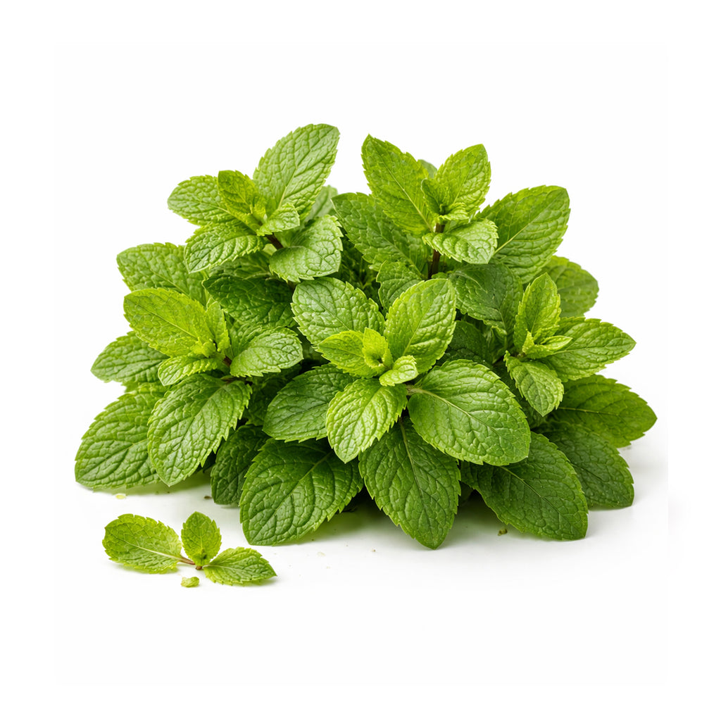 peppermint oil for headache
