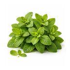 peppermint oil for headache