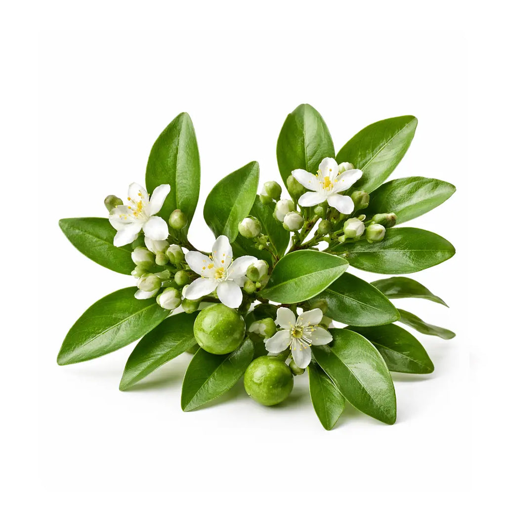 petitgrain oil for skin