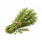 rosemary oil for hair growth