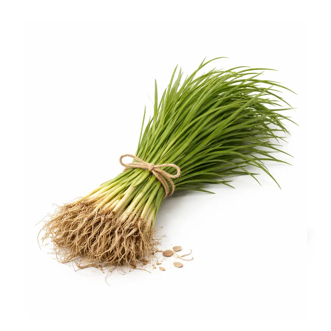 organic vetiver oil
